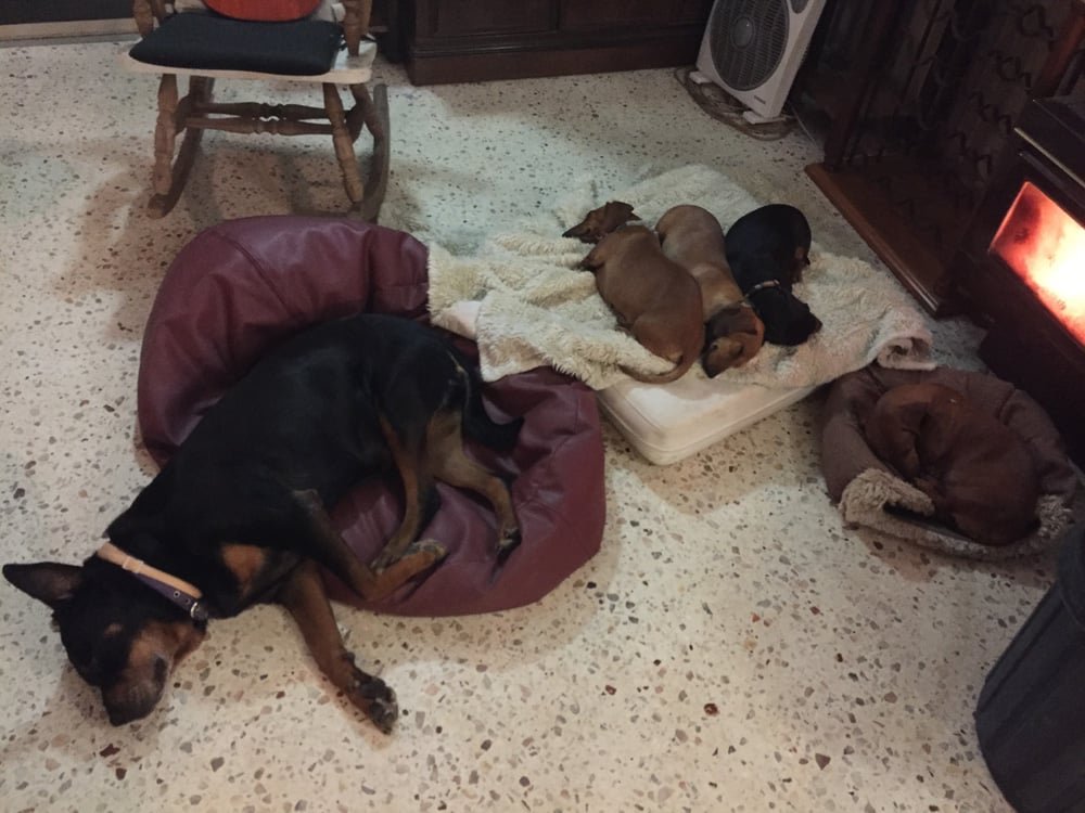 Tout le monde au dodo !