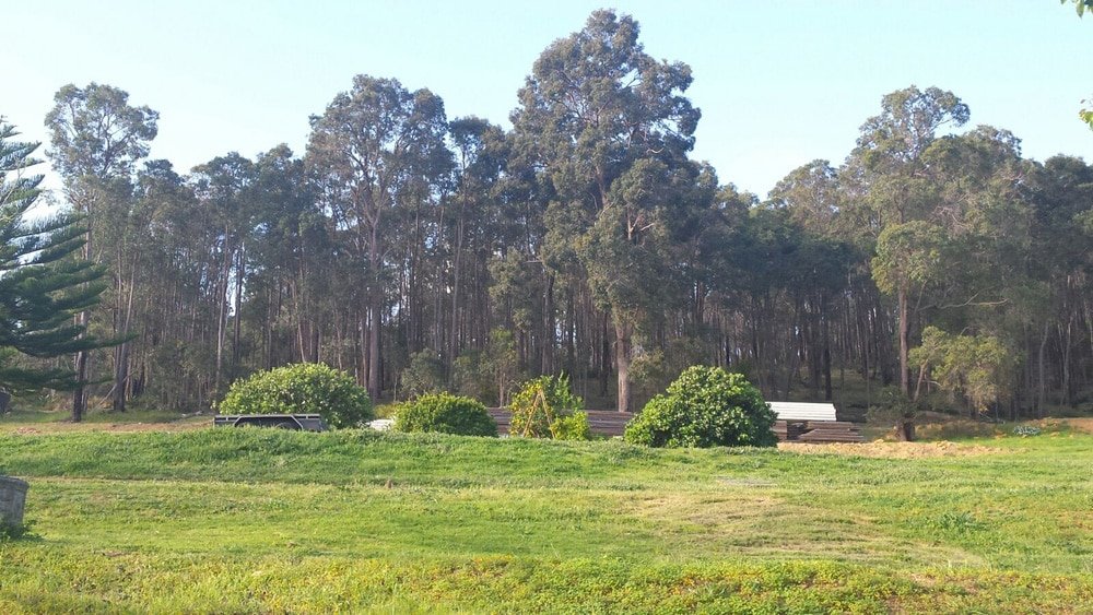 La forêt au dessus de la maison