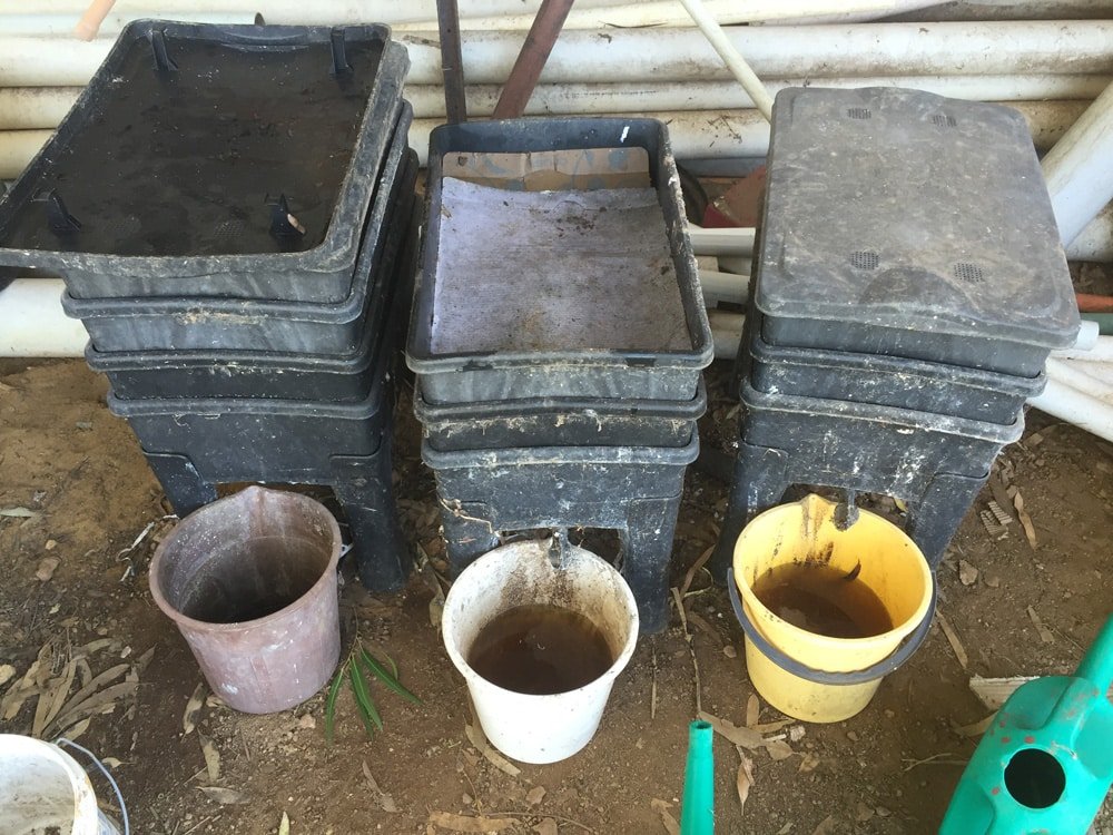 Les maisons des vers de terre