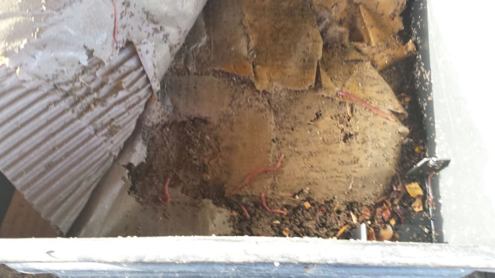 Il faut bien les nourrir !